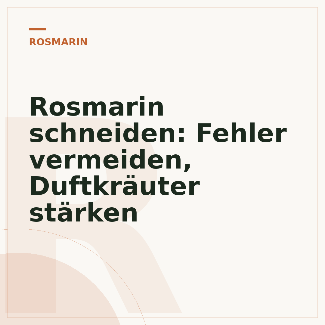 Rosmarin schneiden: Fehler vermeiden, Duftkräuter stärken