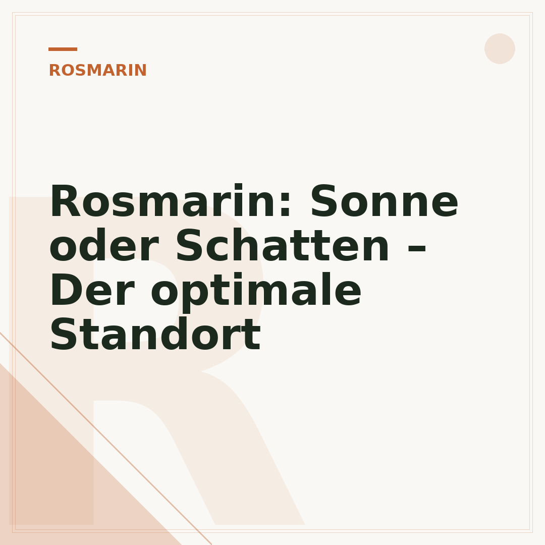Rosmarin: Sonne oder Schatten – Der optimale Standort