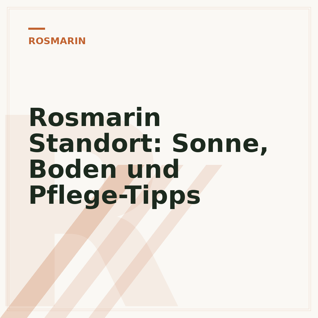 Rosmarin Standort: Sonne, Boden und Pflege-Tipps