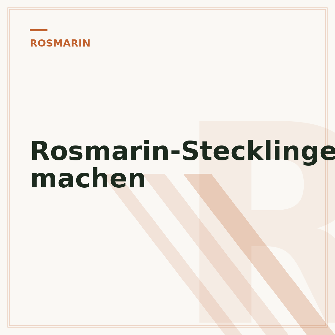 Rosmarin-Stecklinge machen
