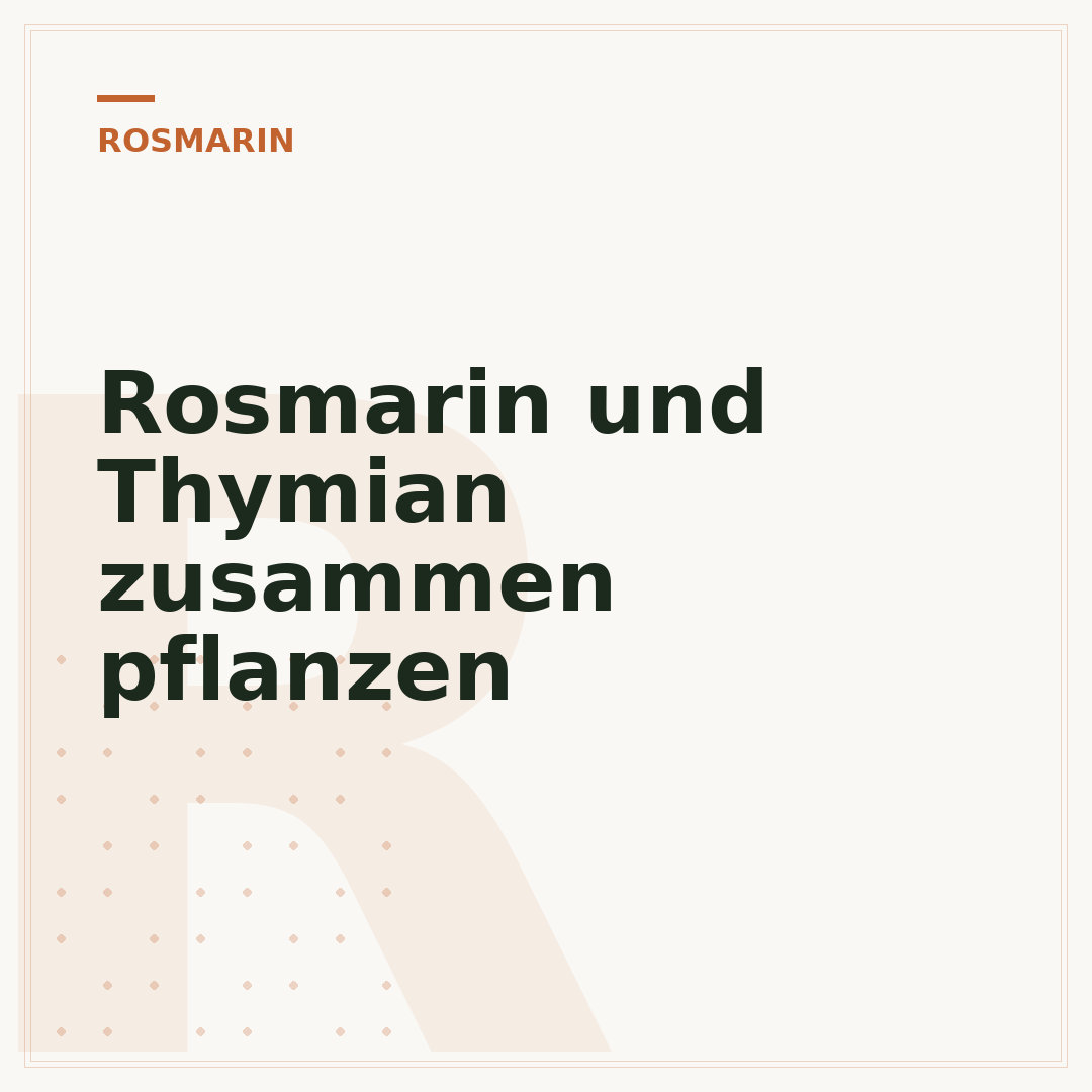 Rosmarin und Thymian zusammen pflanzen