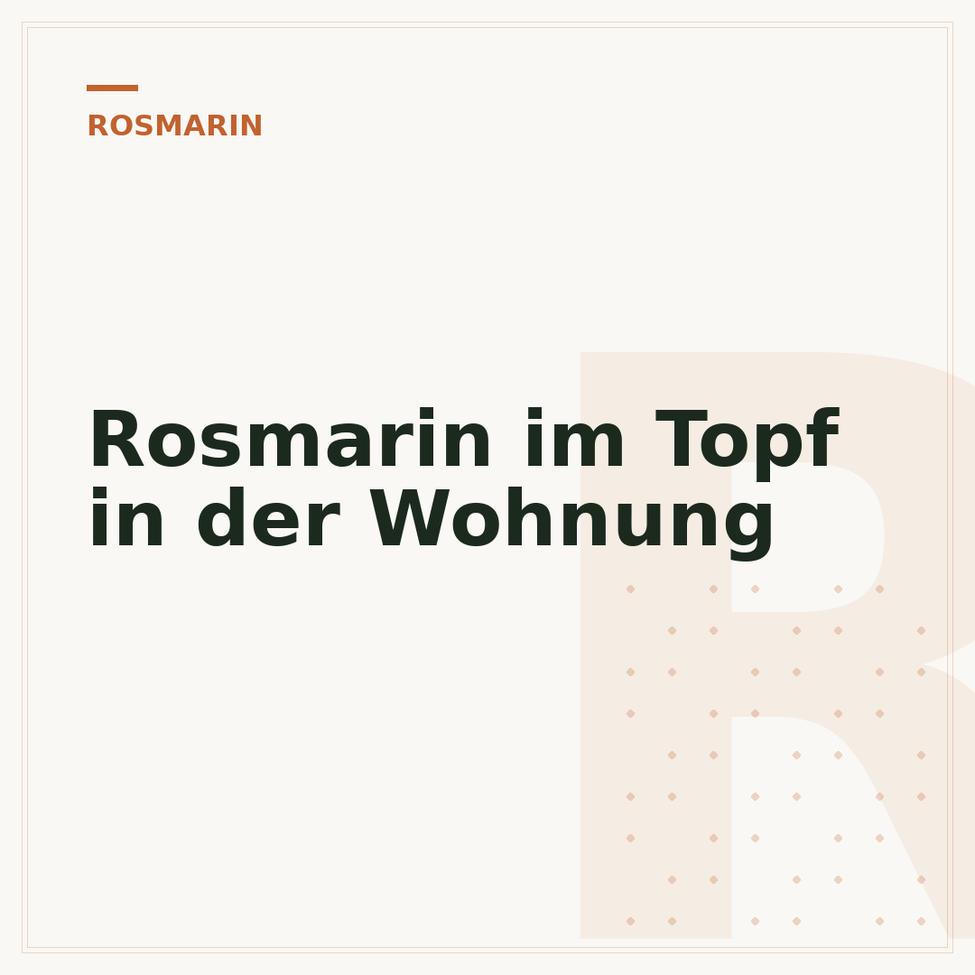 Rosmarin im Topf in der Wohnung