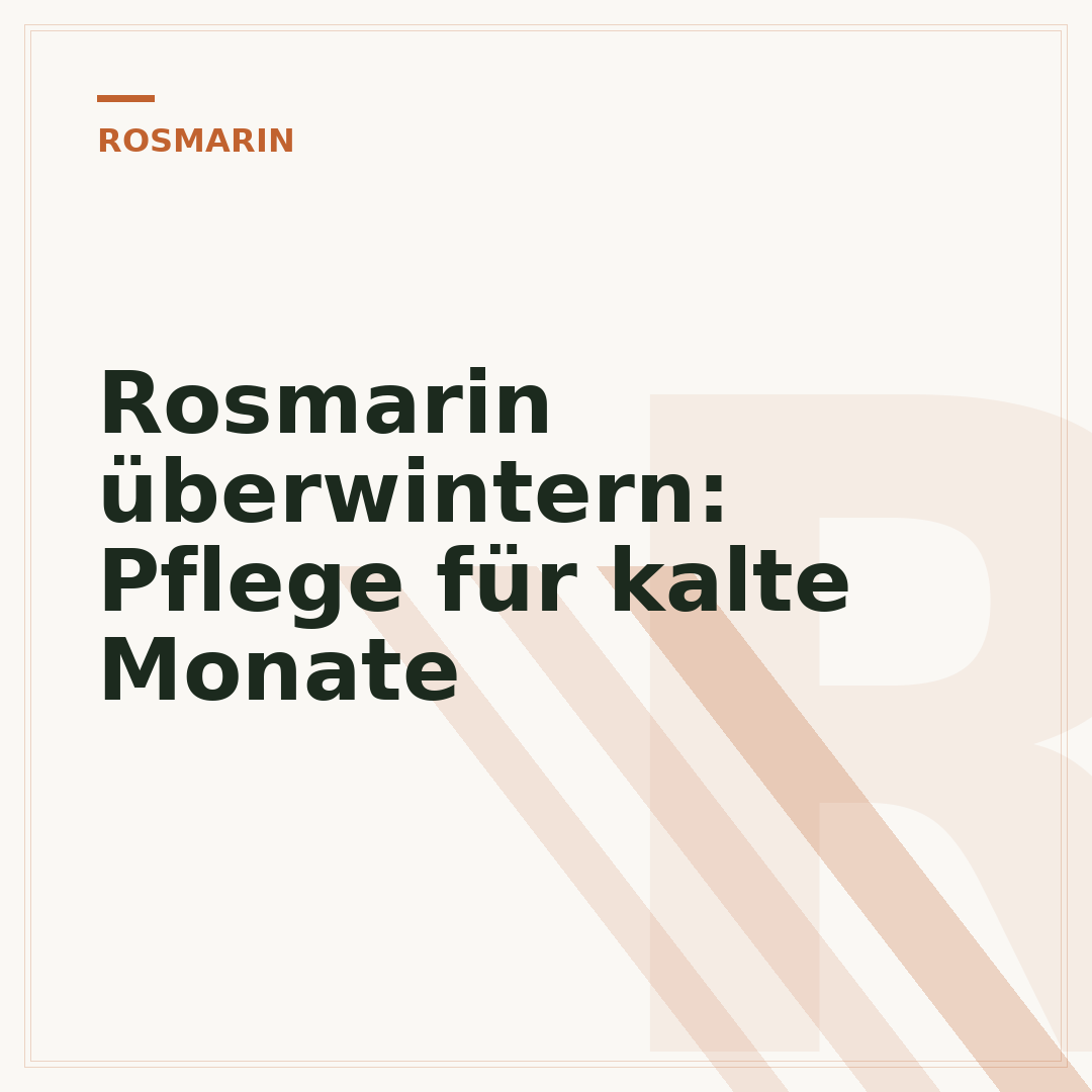 Rosmarin überwintern: Pflege für kalte Monate