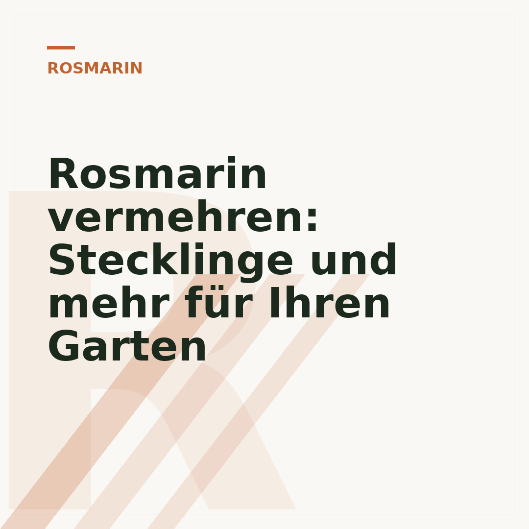 Rosmarin vermehren: Stecklinge und mehr für Ihren Garten
