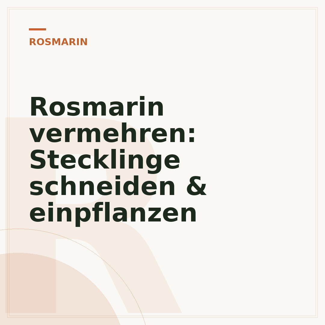 Rosmarin vermehren: Stecklinge schneiden & einpflanzen