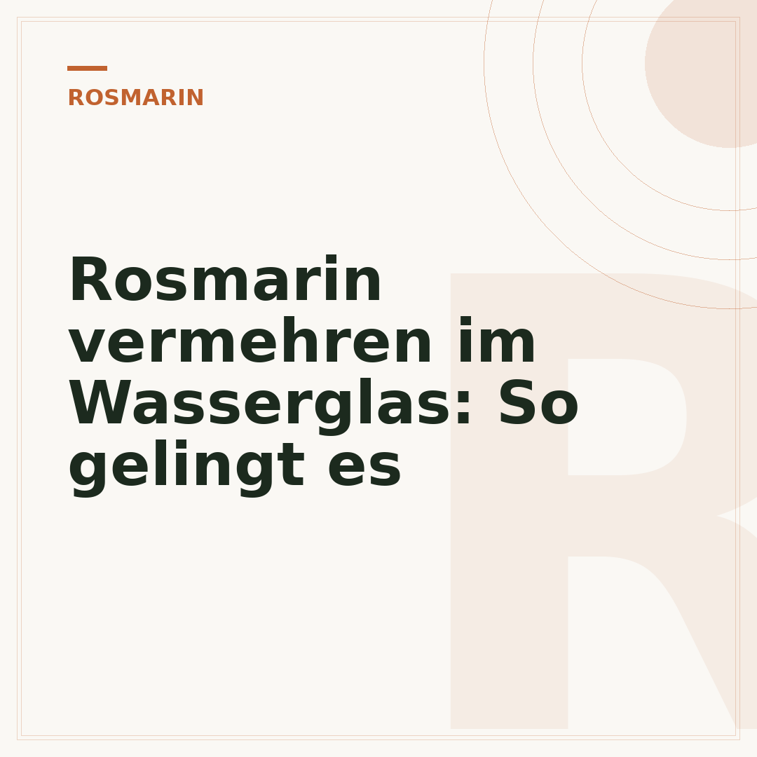 Rosmarin vermehren im Wasserglas: So gelingt es