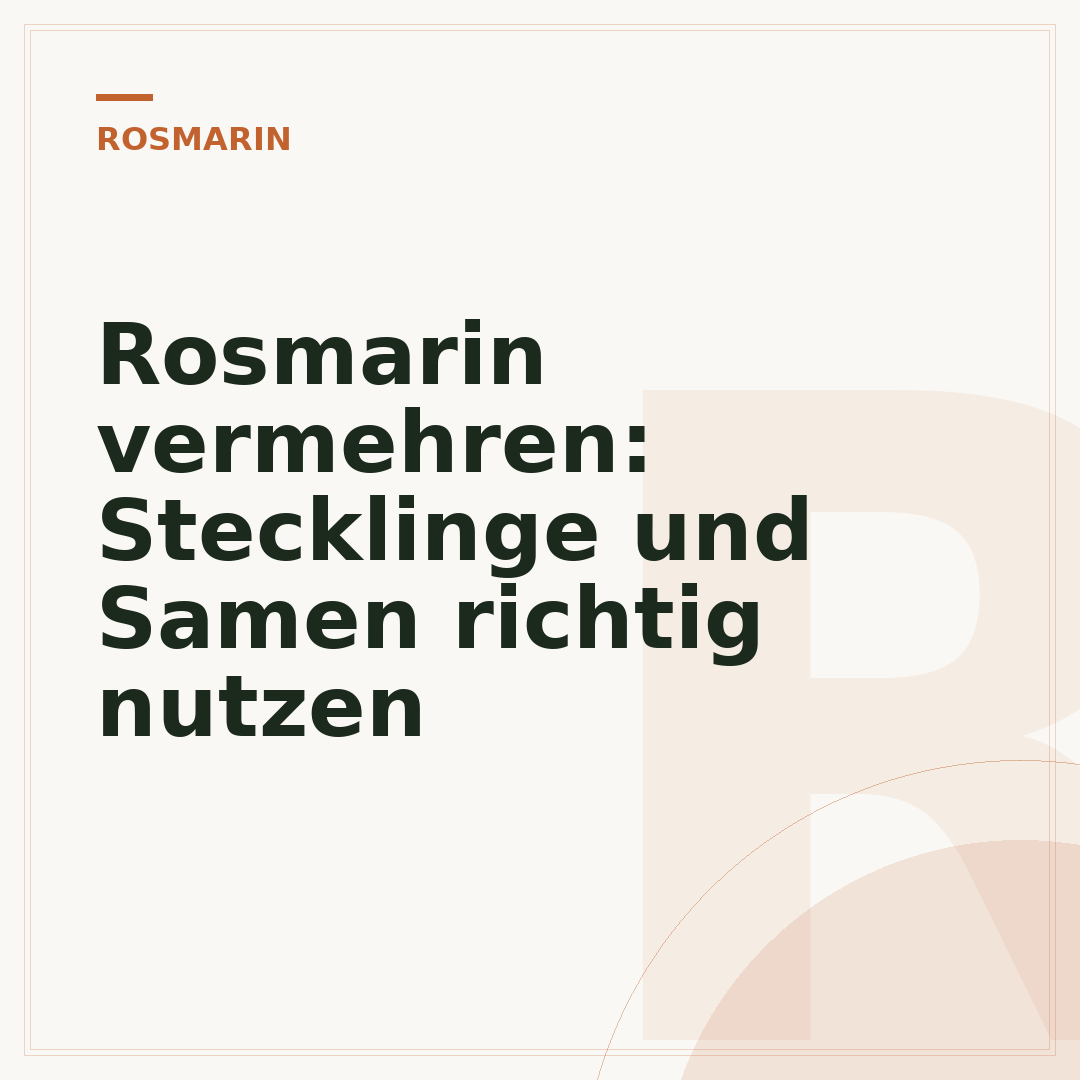 Rosmarin vermehren: Stecklinge und Samen richtig nutzen
