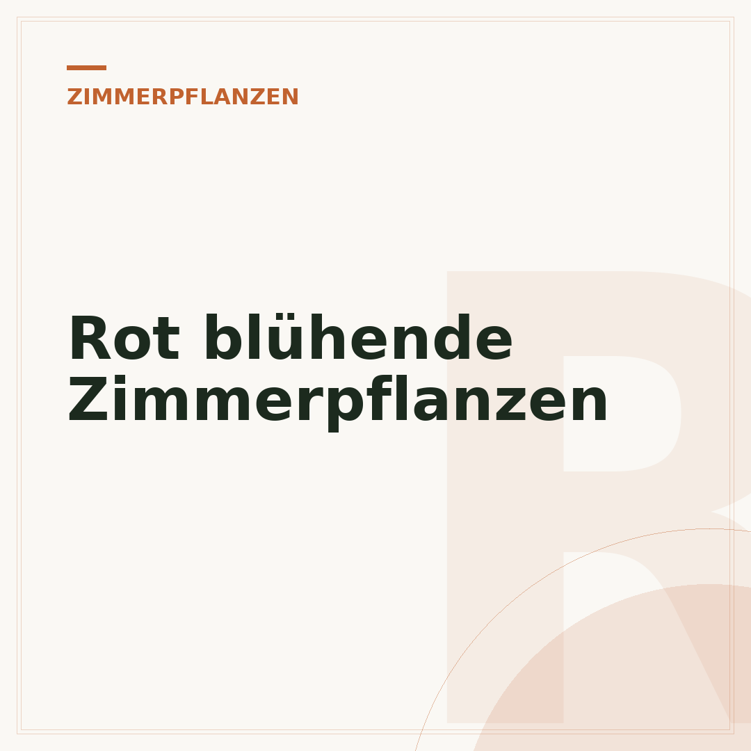 Rot blühende Zimmerpflanzen