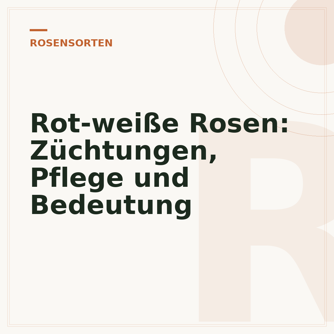 Rot-weiße Rosen: Züchtungen, Pflege und Bedeutung