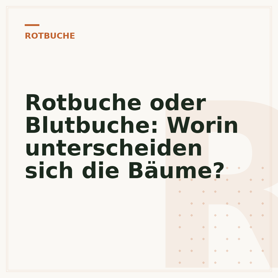 Rotbuche oder Blutbuche: Worin unterscheiden sich die Bäume?