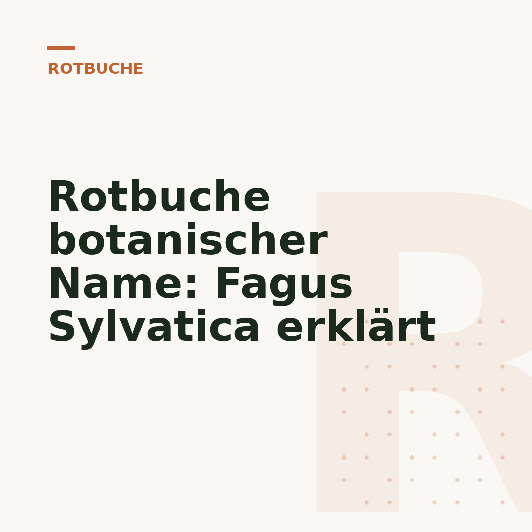 Rotbuche botanischer Name: Fagus Sylvatica erklärt