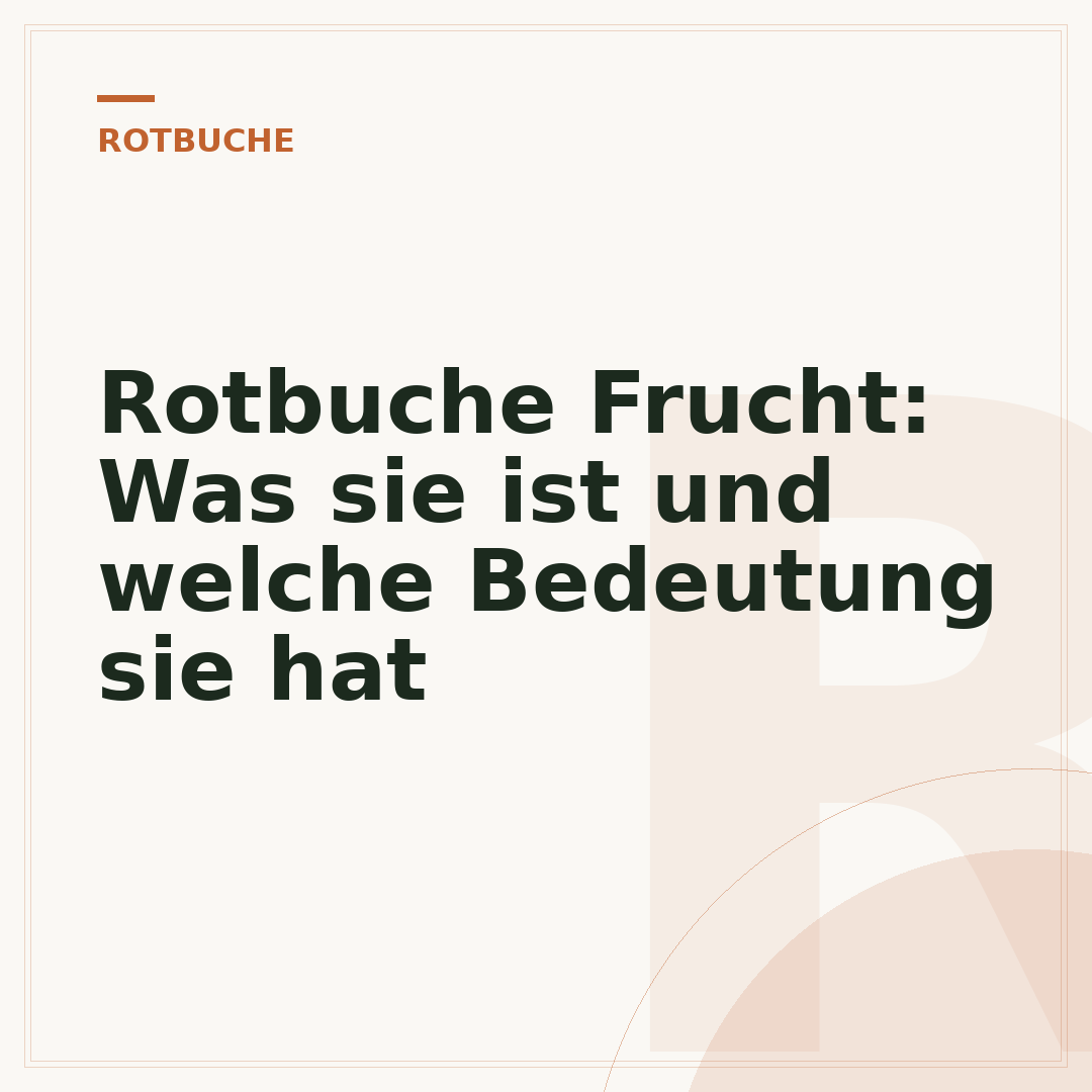 Rotbuche Frucht: Was sie ist und welche Bedeutung sie hat