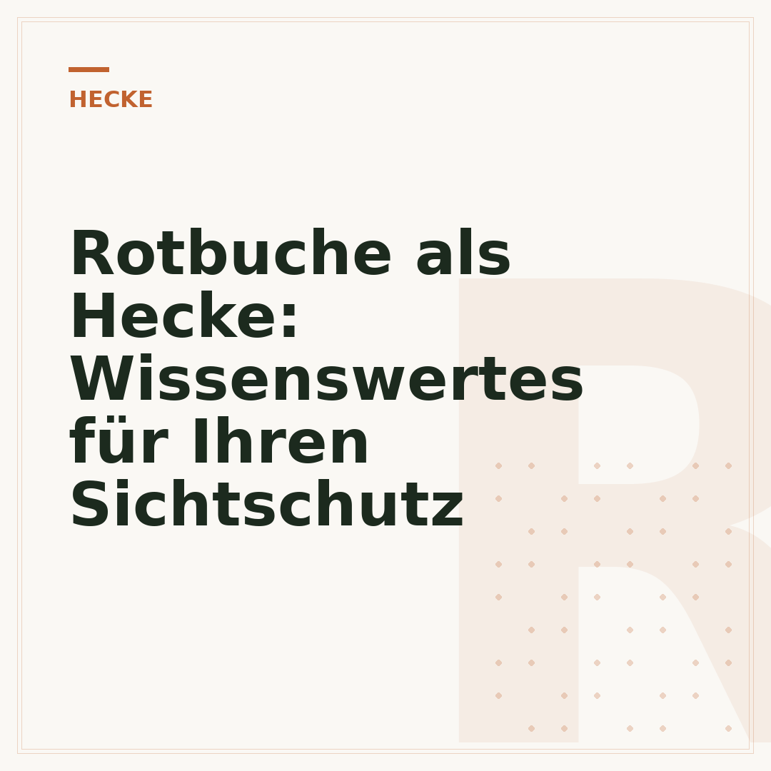 Rotbuche als Hecke: Wissenswertes für Ihren Sichtschutz