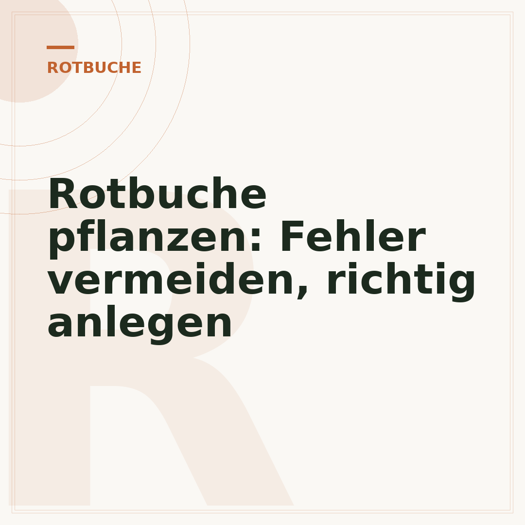Rotbuche pflanzen: Fehler vermeiden, richtig anlegen
