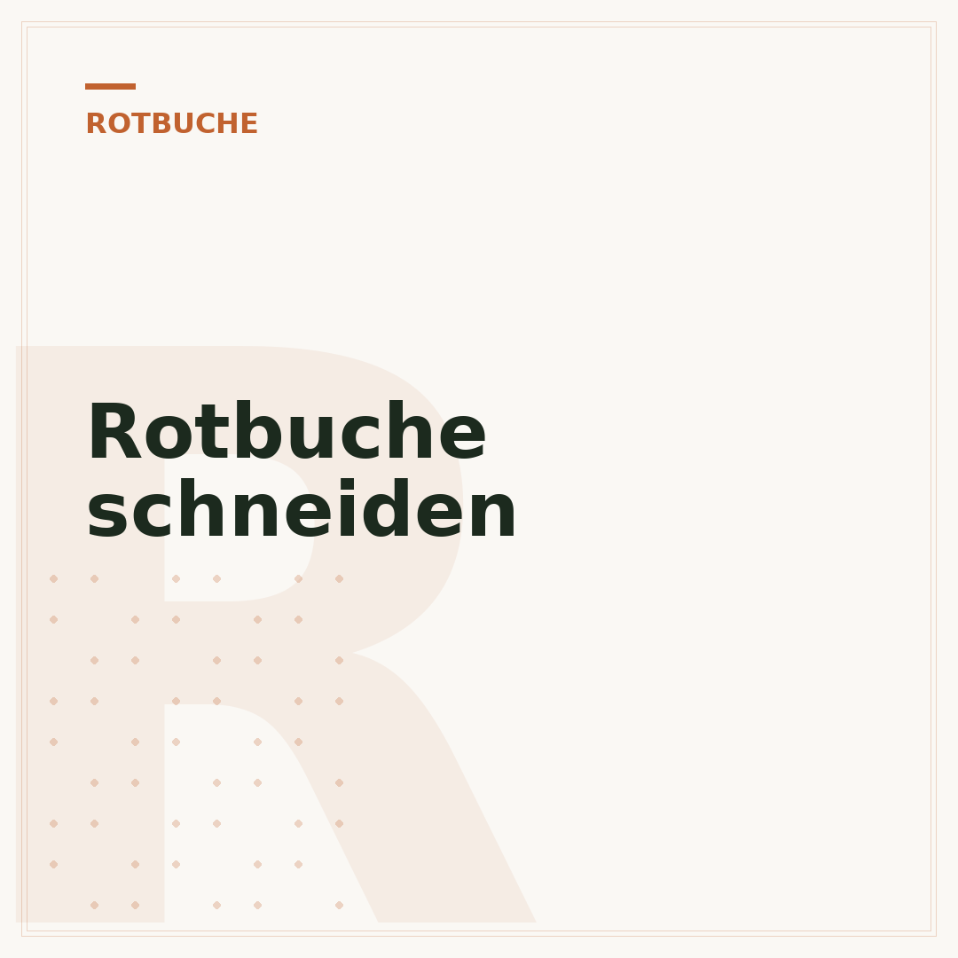 Rotbuche schneiden