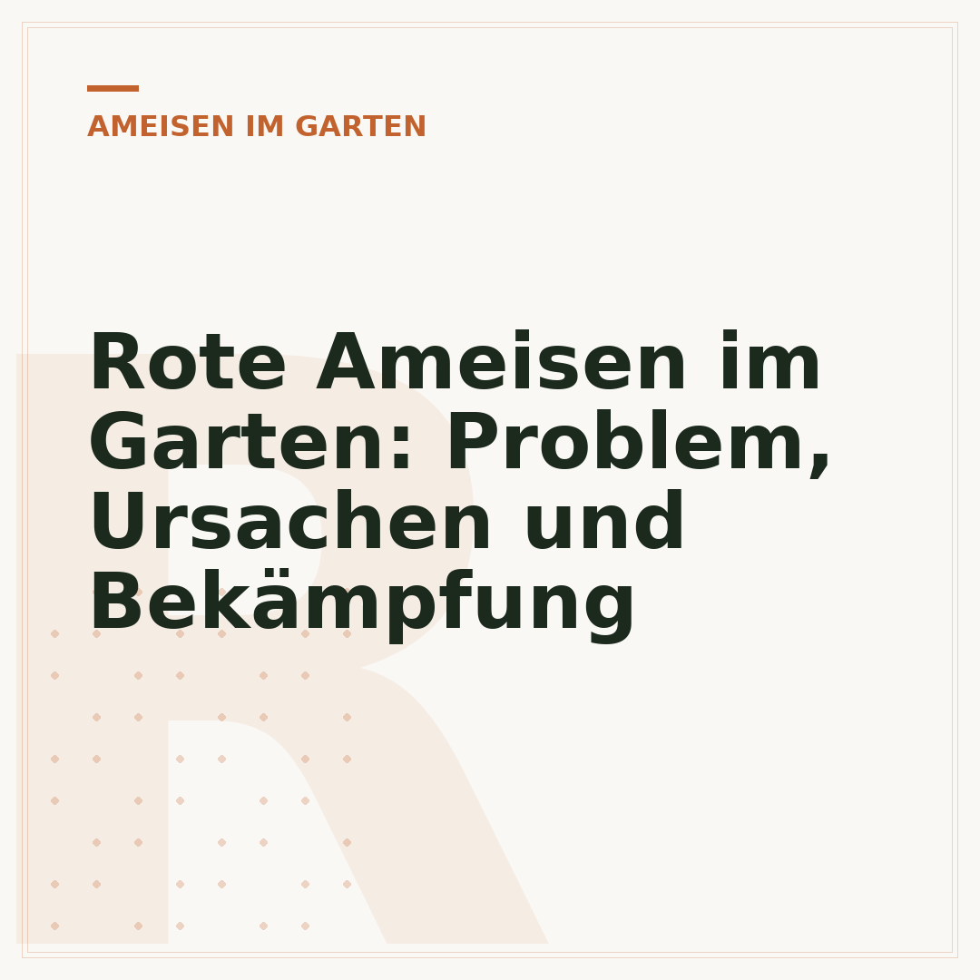 Rote Ameisen im Garten: Problem, Ursachen und Bekämpfung