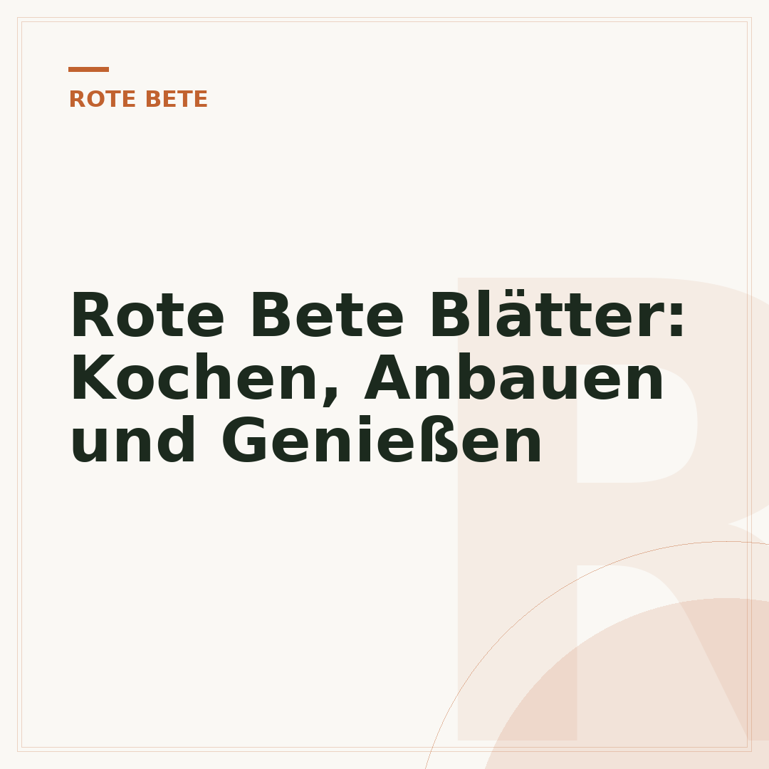 Rote Bete Blätter: Kochen, Anbauen und Genießen