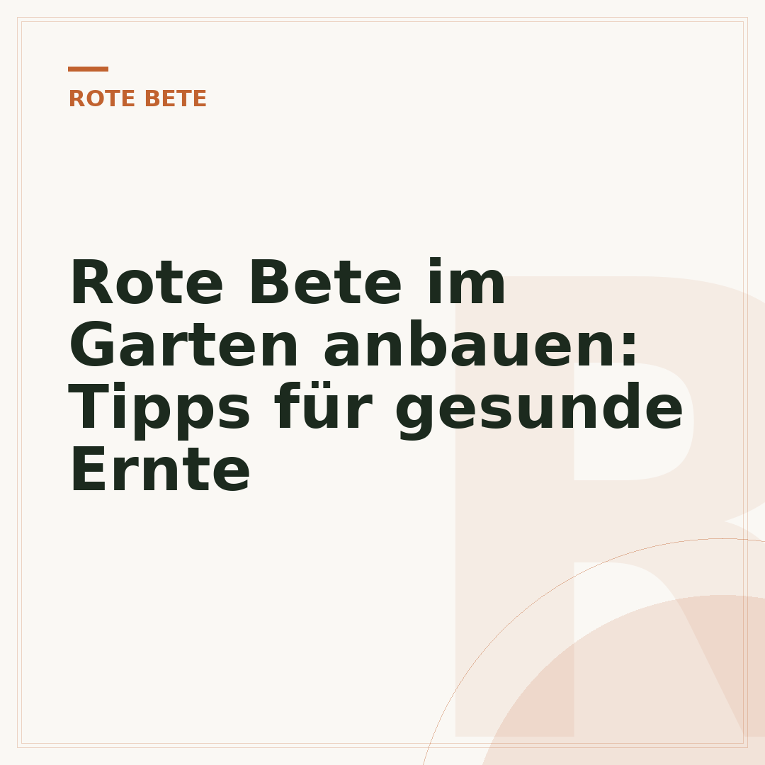 Rote Bete im Garten anbauen: Tipps für gesunde Ernte
