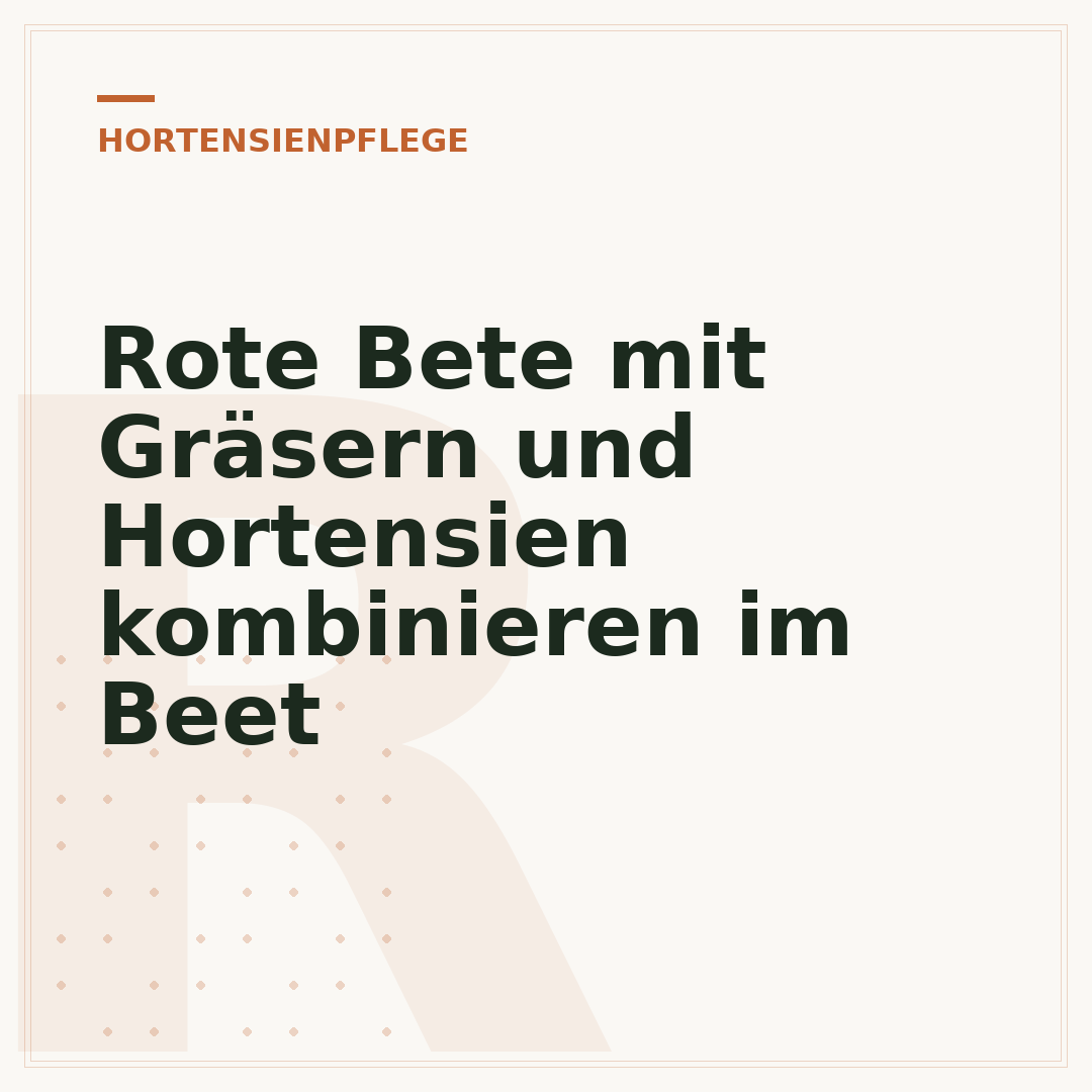 Rote Bete mit Gräsern und Hortensien kombinieren im Beet