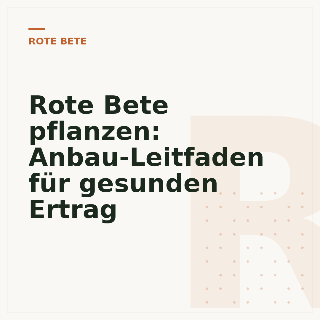 Rote Bete pflanzen: Anbau-Leitfaden für gesunden Ertrag
