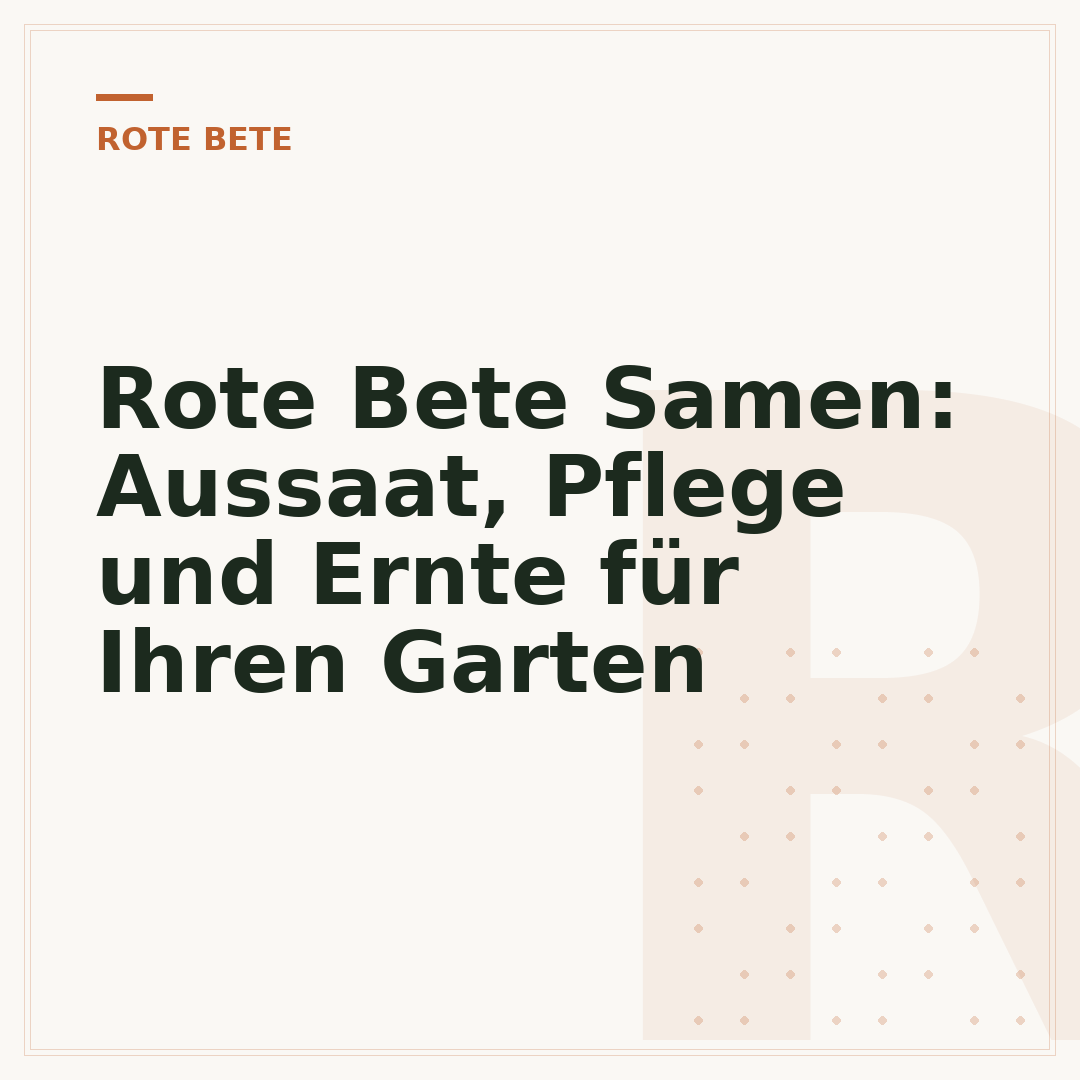 Rote Bete Samen: Aussaat, Pflege und Ernte für Ihren Garten