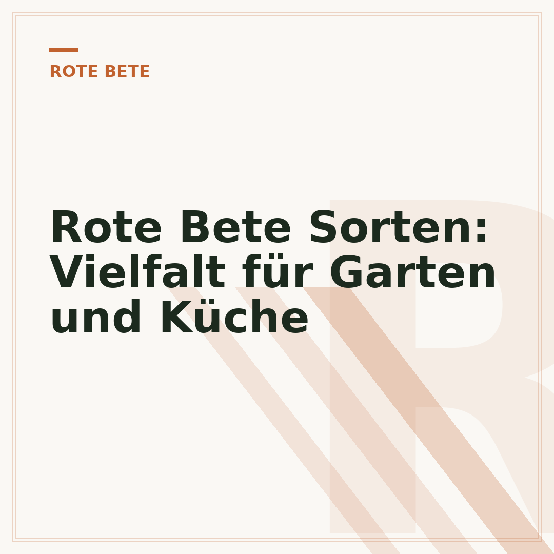 Rote Bete Sorten: Vielfalt für Garten und Küche