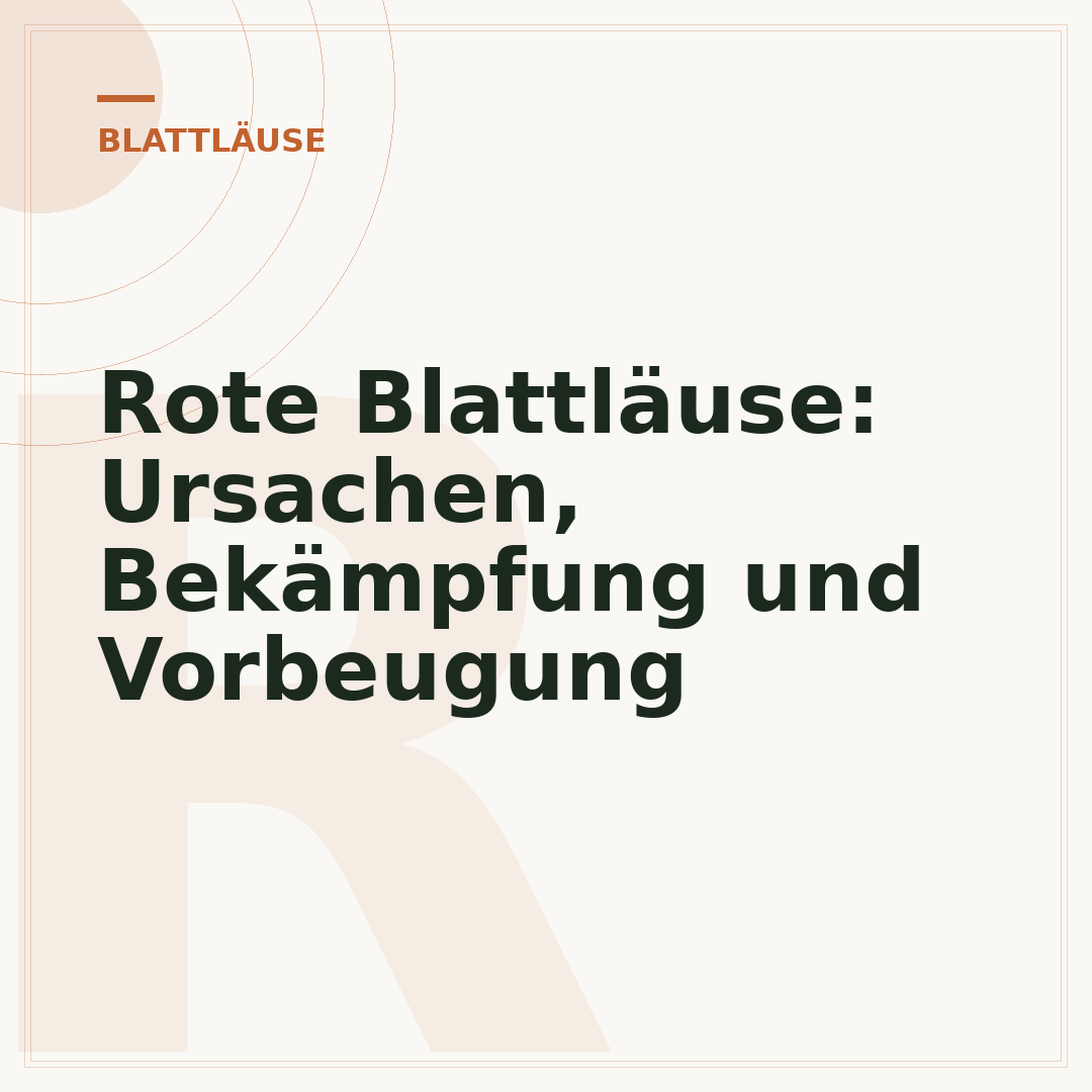 Rote Blattläuse: Ursachen, Bekämpfung und Vorbeugung