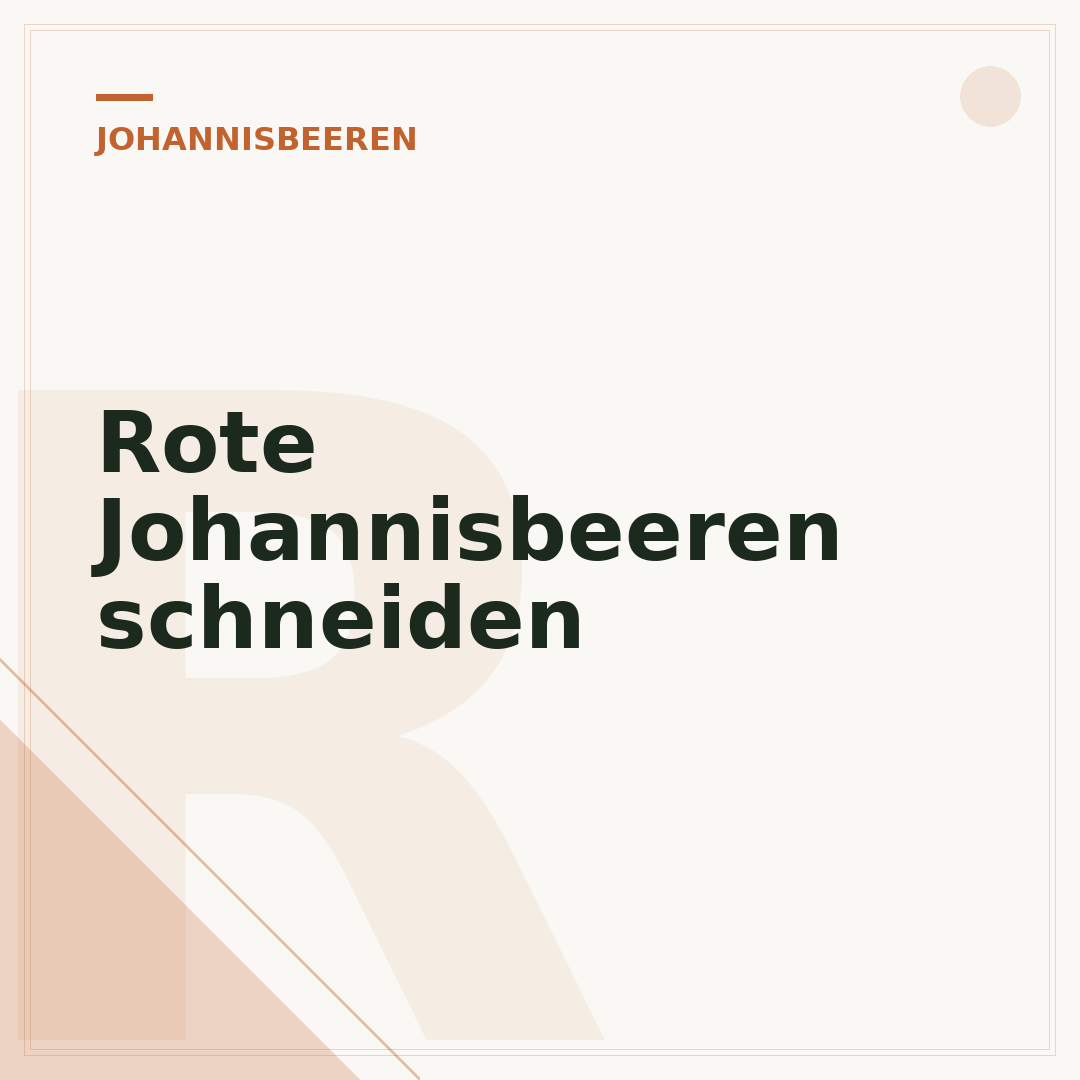 Rote Johannisbeeren schneiden