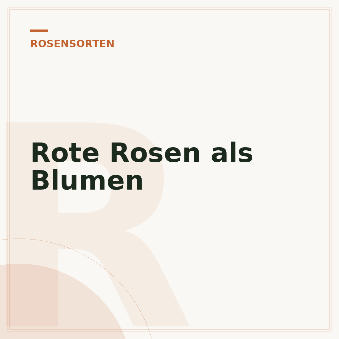 Rote Rosen als Blumen