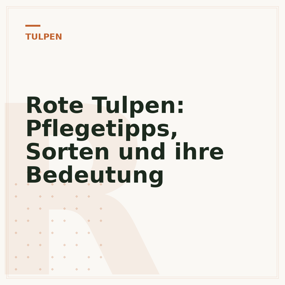 Rote Tulpen: Pflegetipps, Sorten und ihre Bedeutung