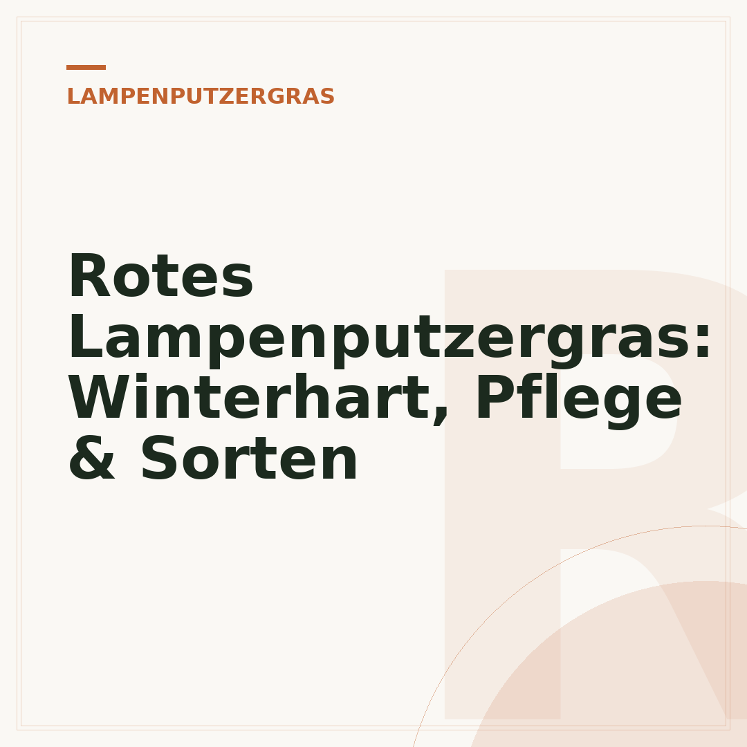 Rotes Lampenputzergras: Winterhart, Pflege & Sorten