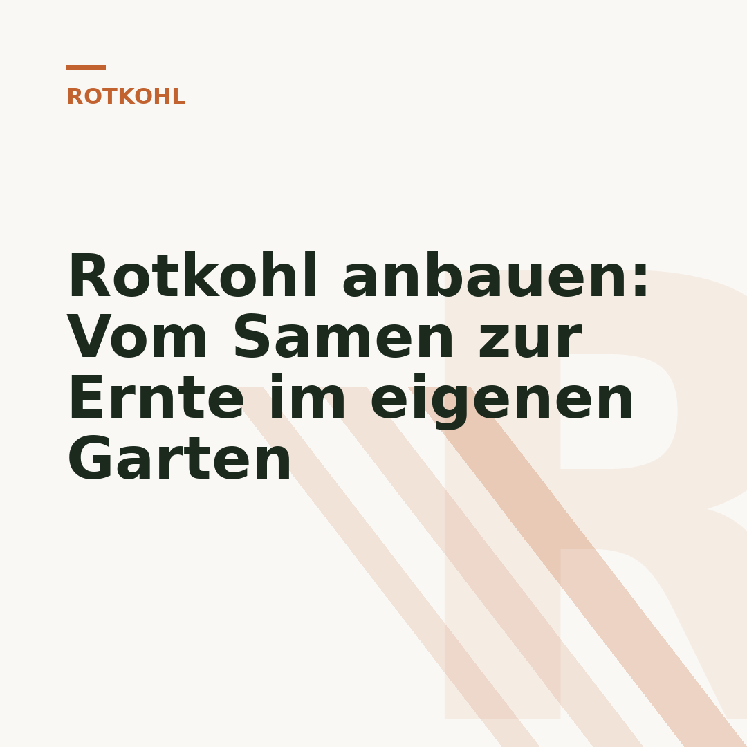 Rotkohl anbauen: Vom Samen zur Ernte im eigenen Garten