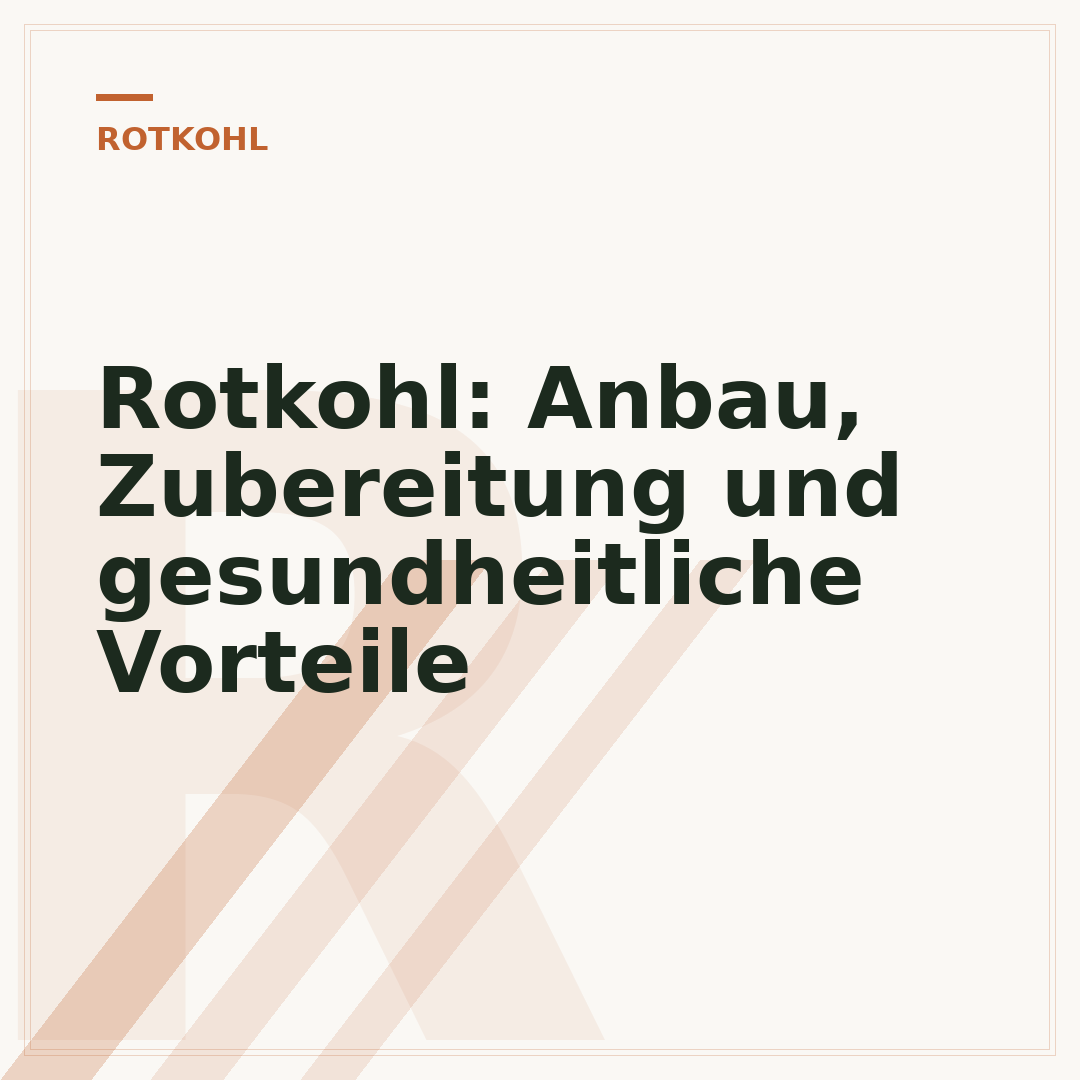 Rotkohl: Anbau, Zubereitung und gesundheitliche Vorteile
