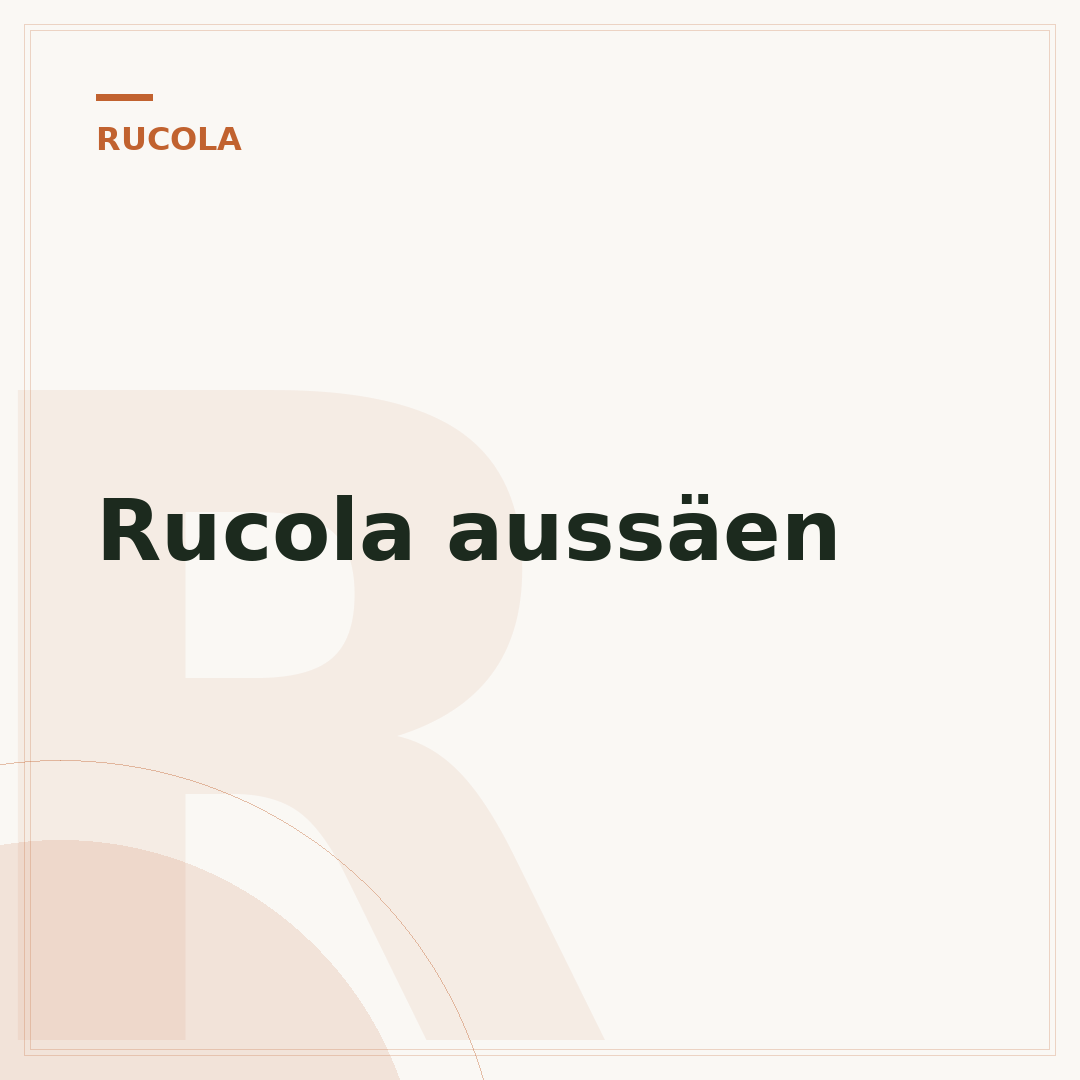 Rucola aussäen