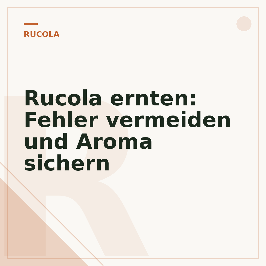 Rucola ernten: Fehler vermeiden und Aroma sichern