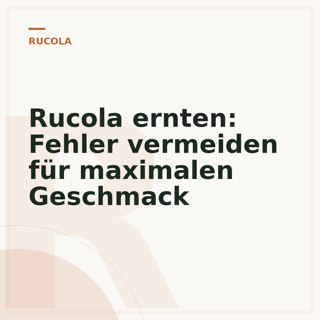 Rucola ernten: Fehler vermeiden für maximalen Geschmack