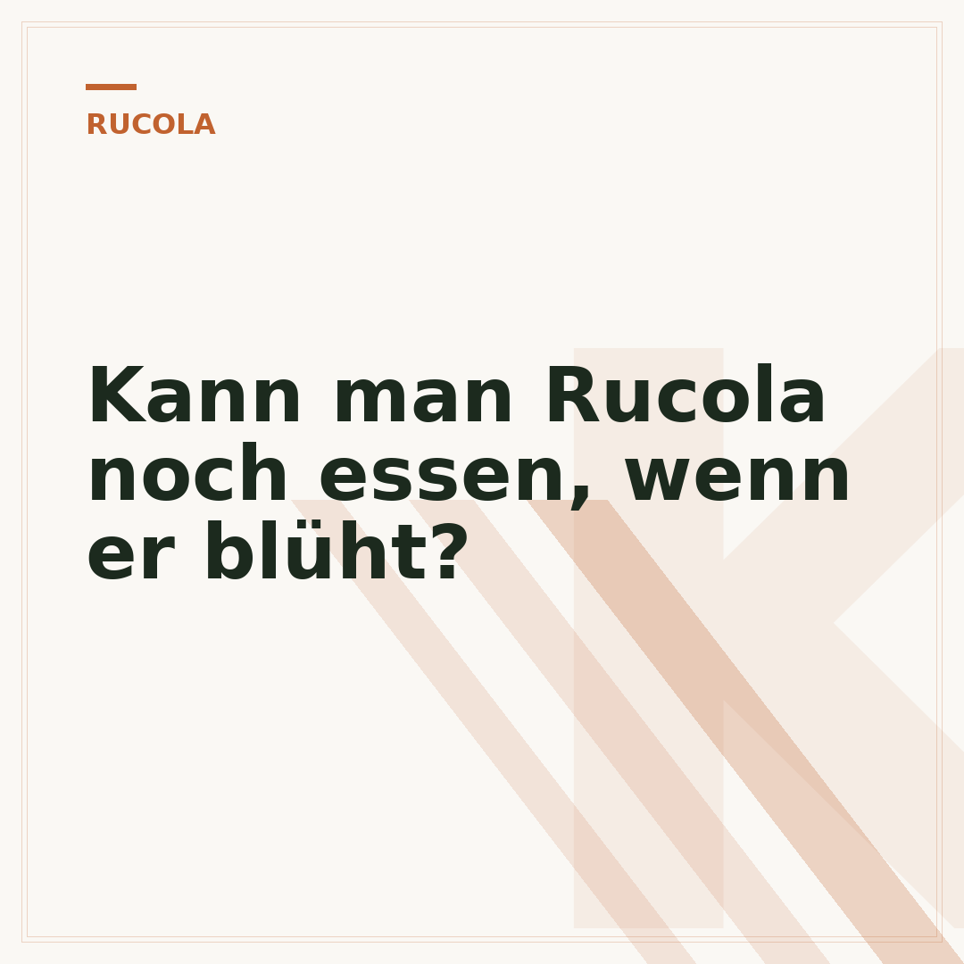 Kann man Rucola noch essen, wenn er blüht?