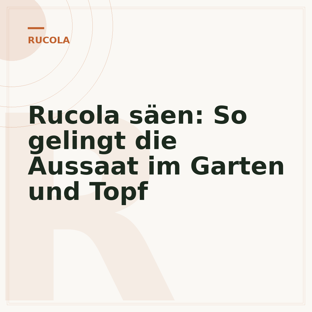 Rucola säen: So gelingt die Aussaat im Garten und Topf
