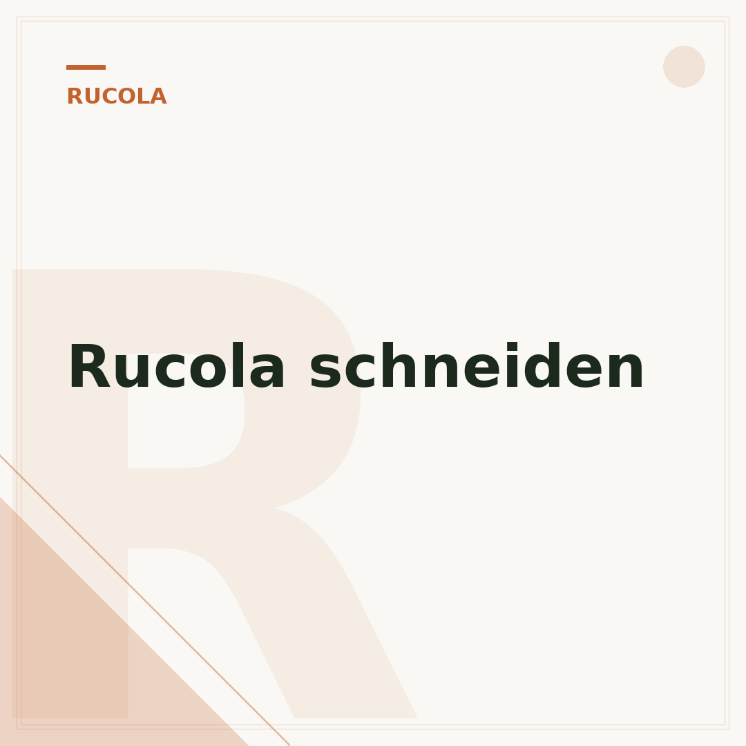 Rucola schneiden