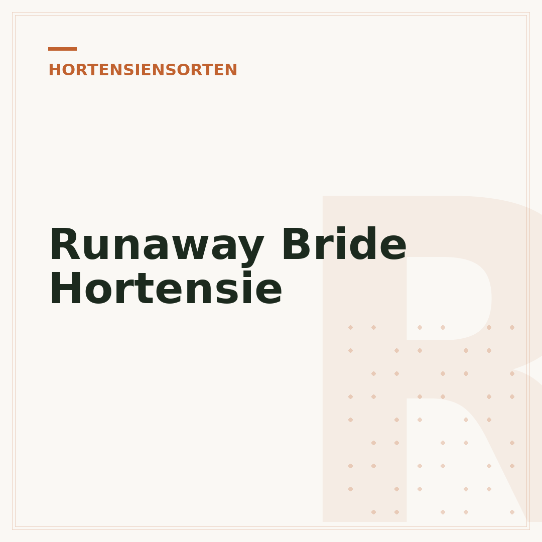 Runaway Bride Hortensie