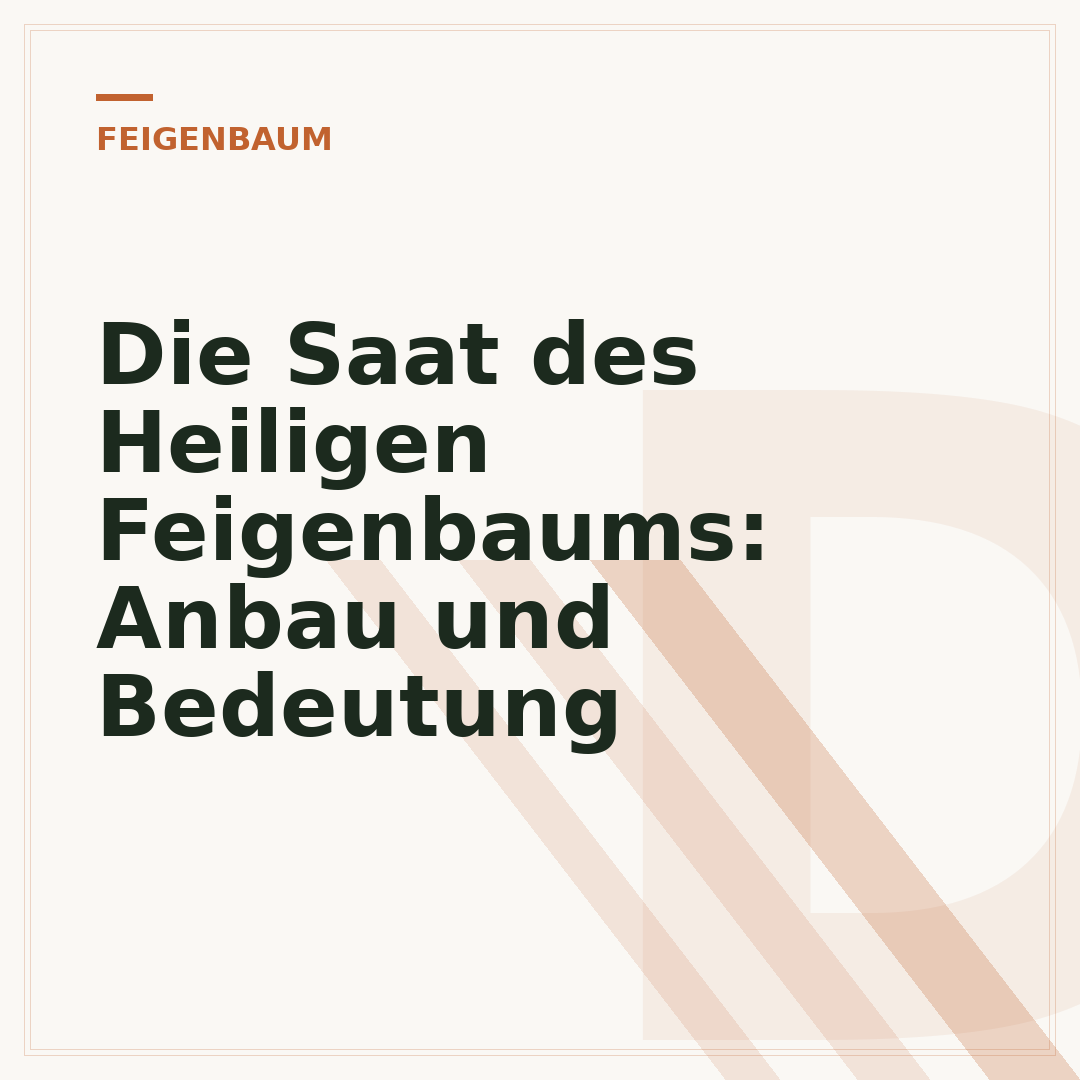 Die Saat des Heiligen Feigenbaums: Anbau und Bedeutung