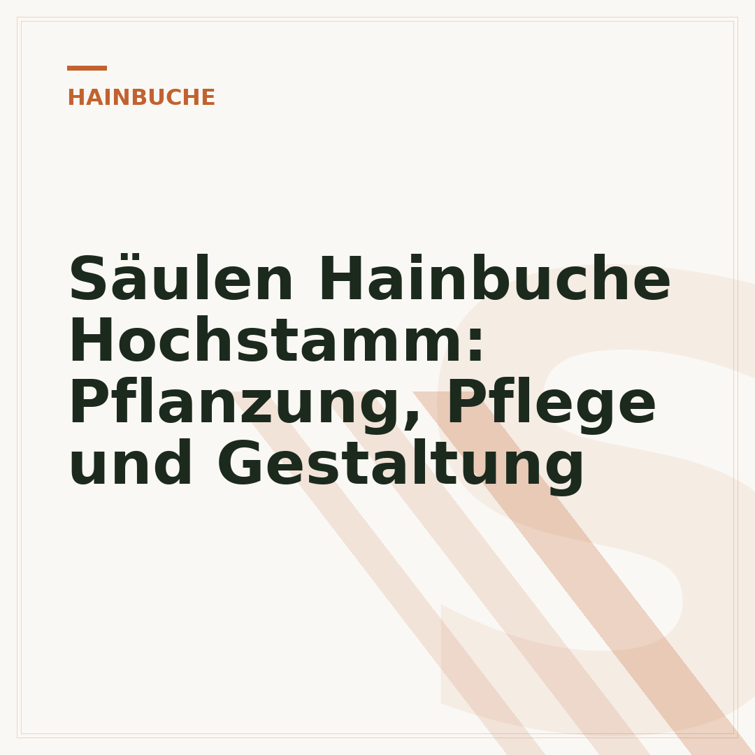 Säulen Hainbuche Hochstamm: Pflanzung, Pflege und Gestaltung