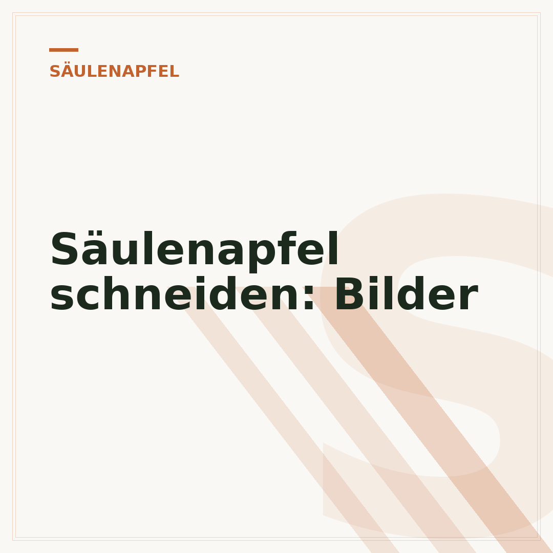 Säulenapfel schneiden: Bilder