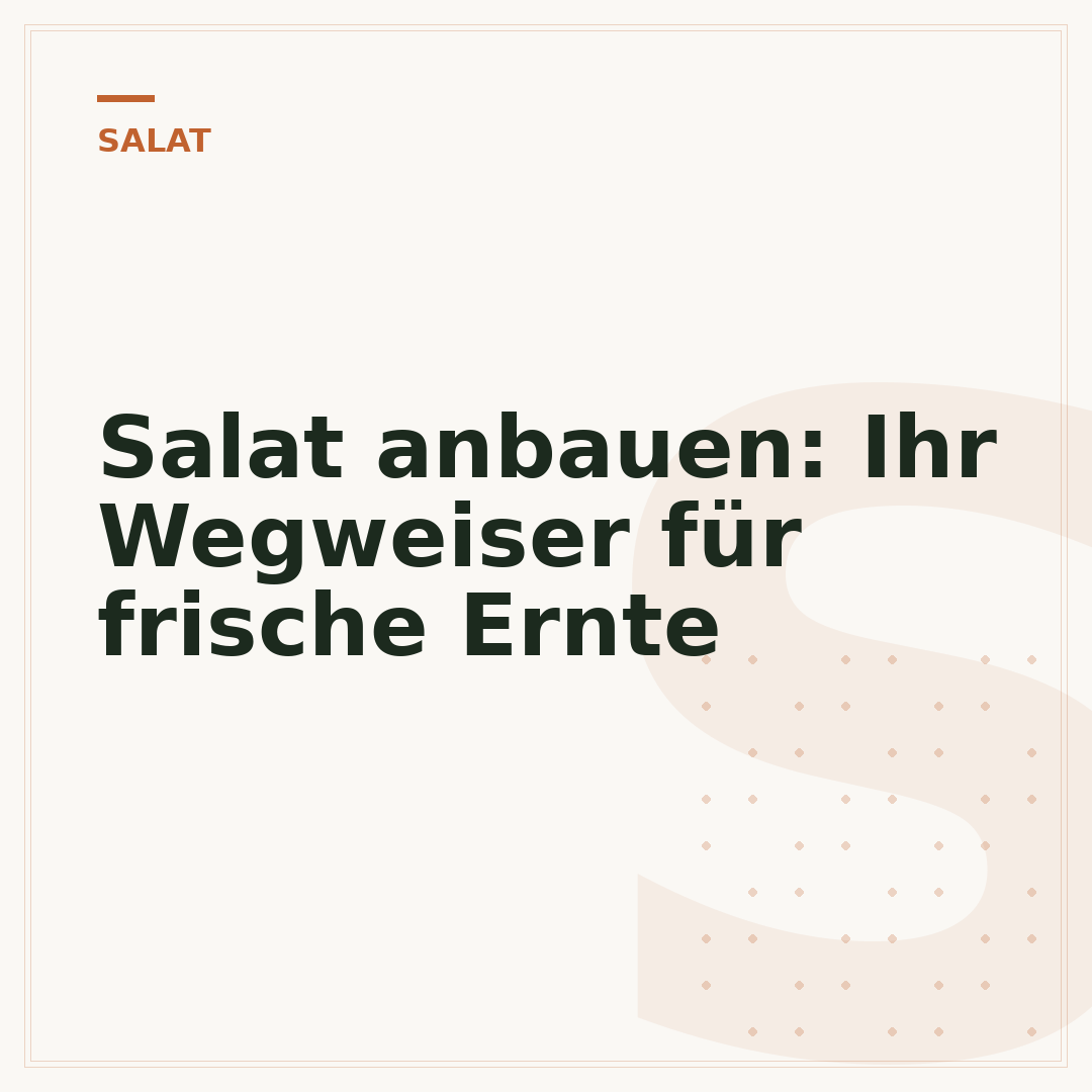 Salat anbauen: Ihr Wegweiser für frische Ernte
