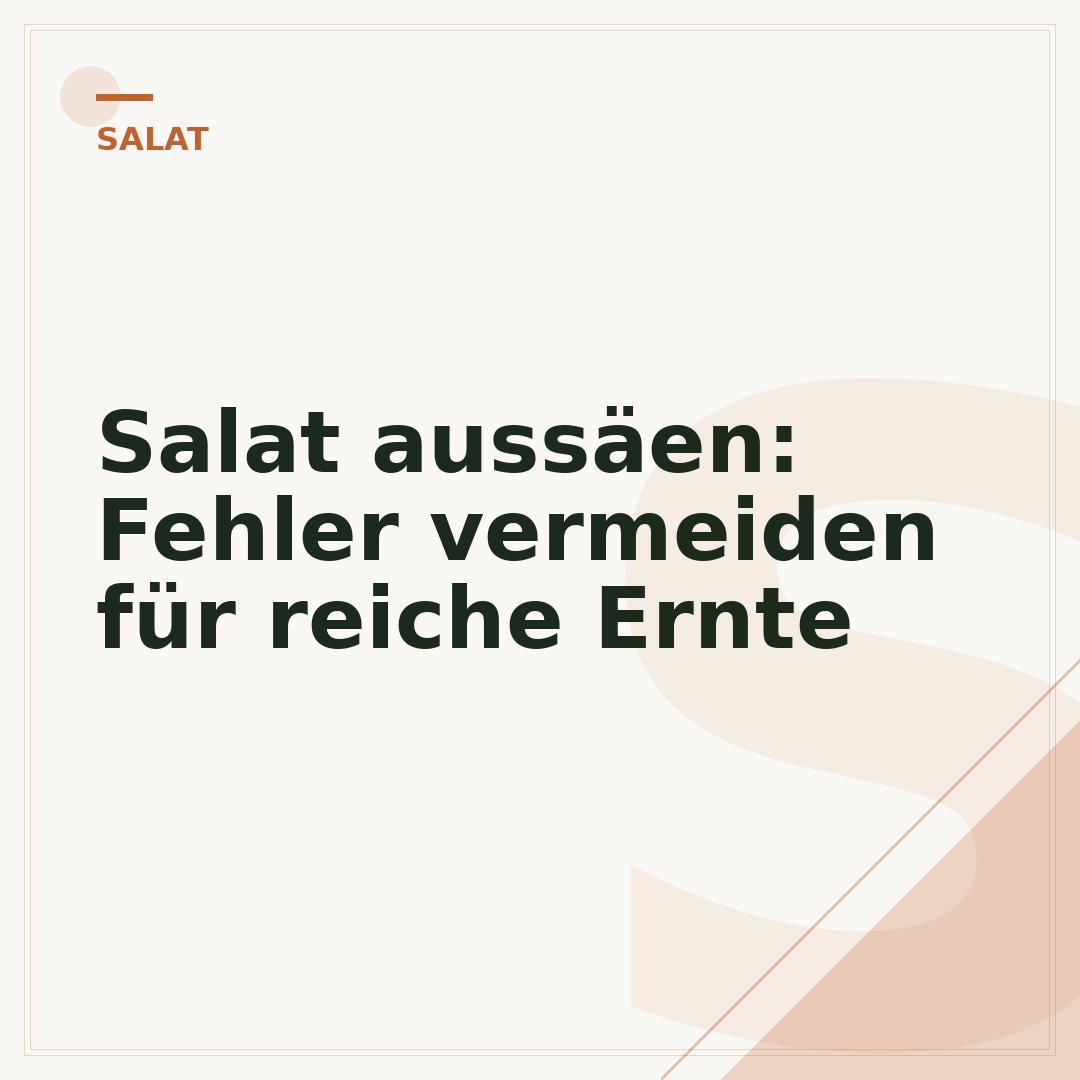 Salat aussäen: Fehler vermeiden für reiche Ernte