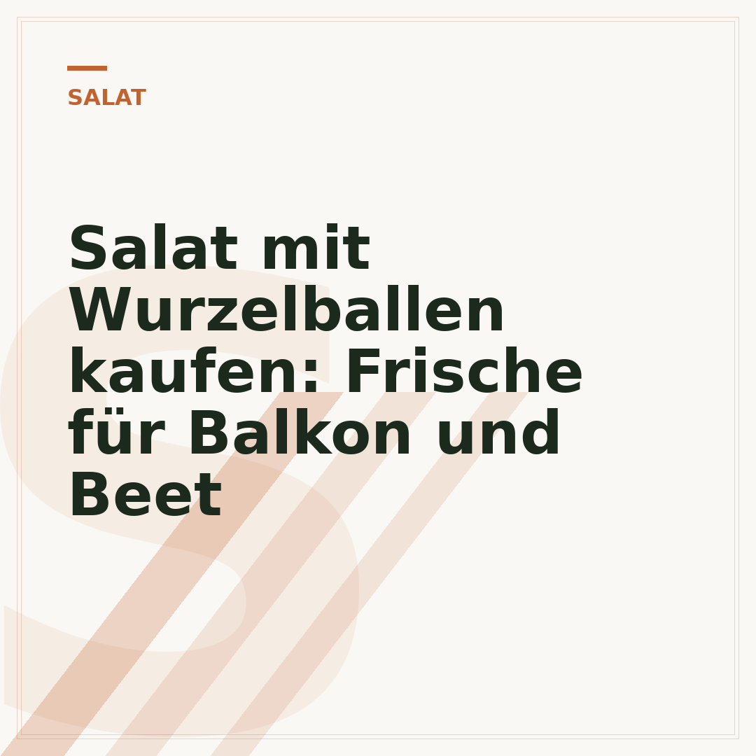 Salat mit Wurzelballen kaufen: Frische für Balkon und Beet