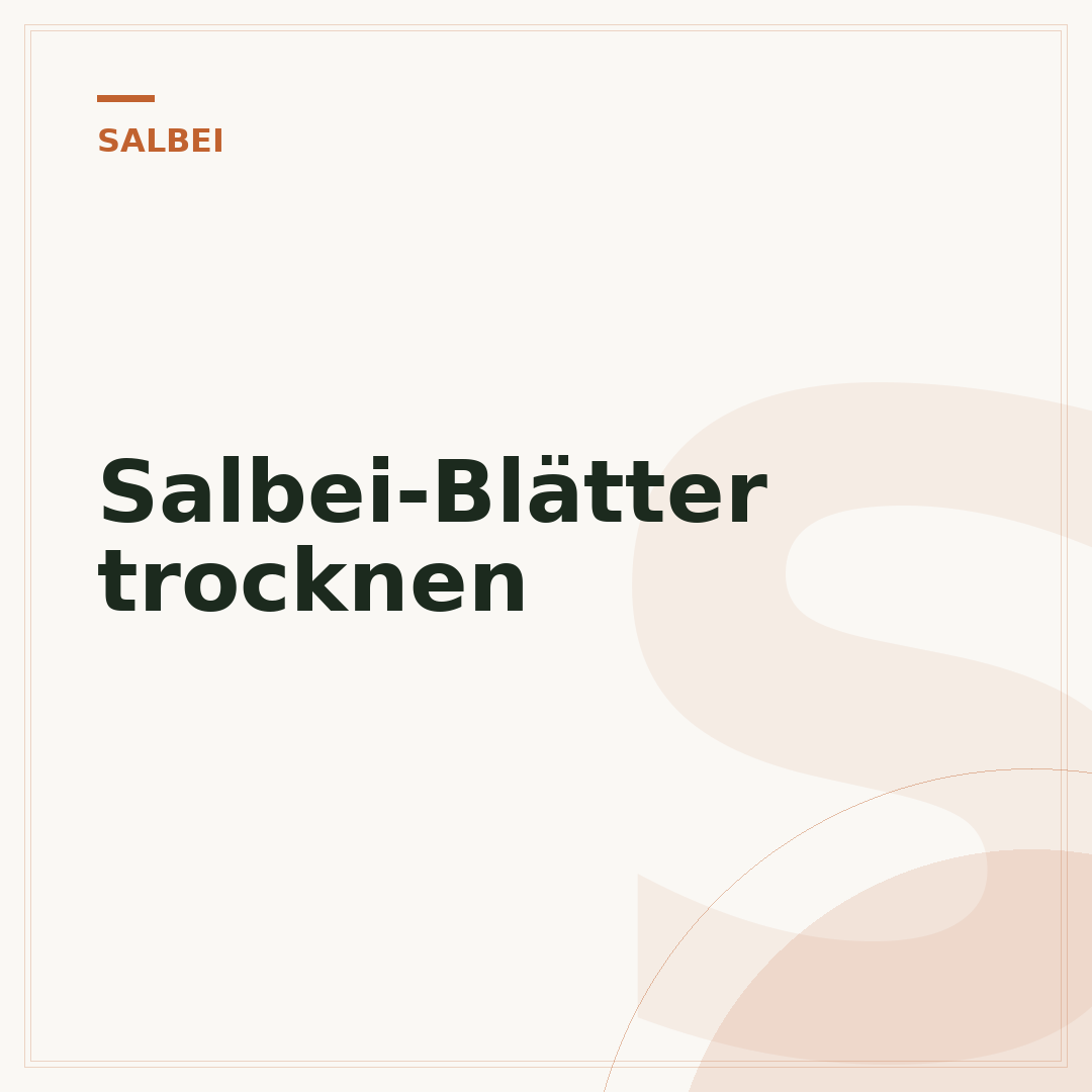 Salbei-Blätter trocknen