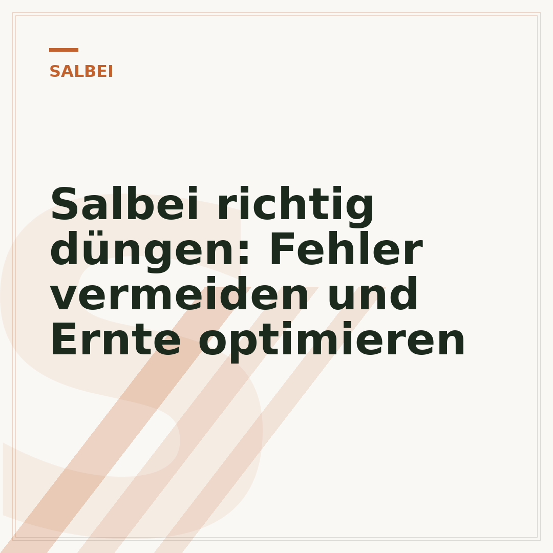 Salbei richtig düngen: Fehler vermeiden und Ernte optimieren