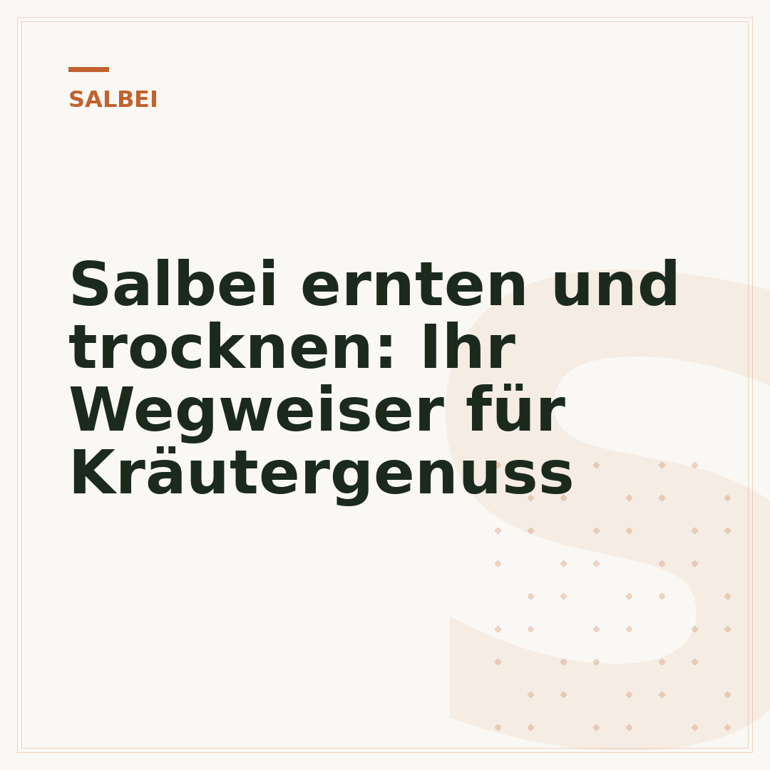 Salbei ernten und trocknen: Ihr Wegweiser für Kräutergenuss