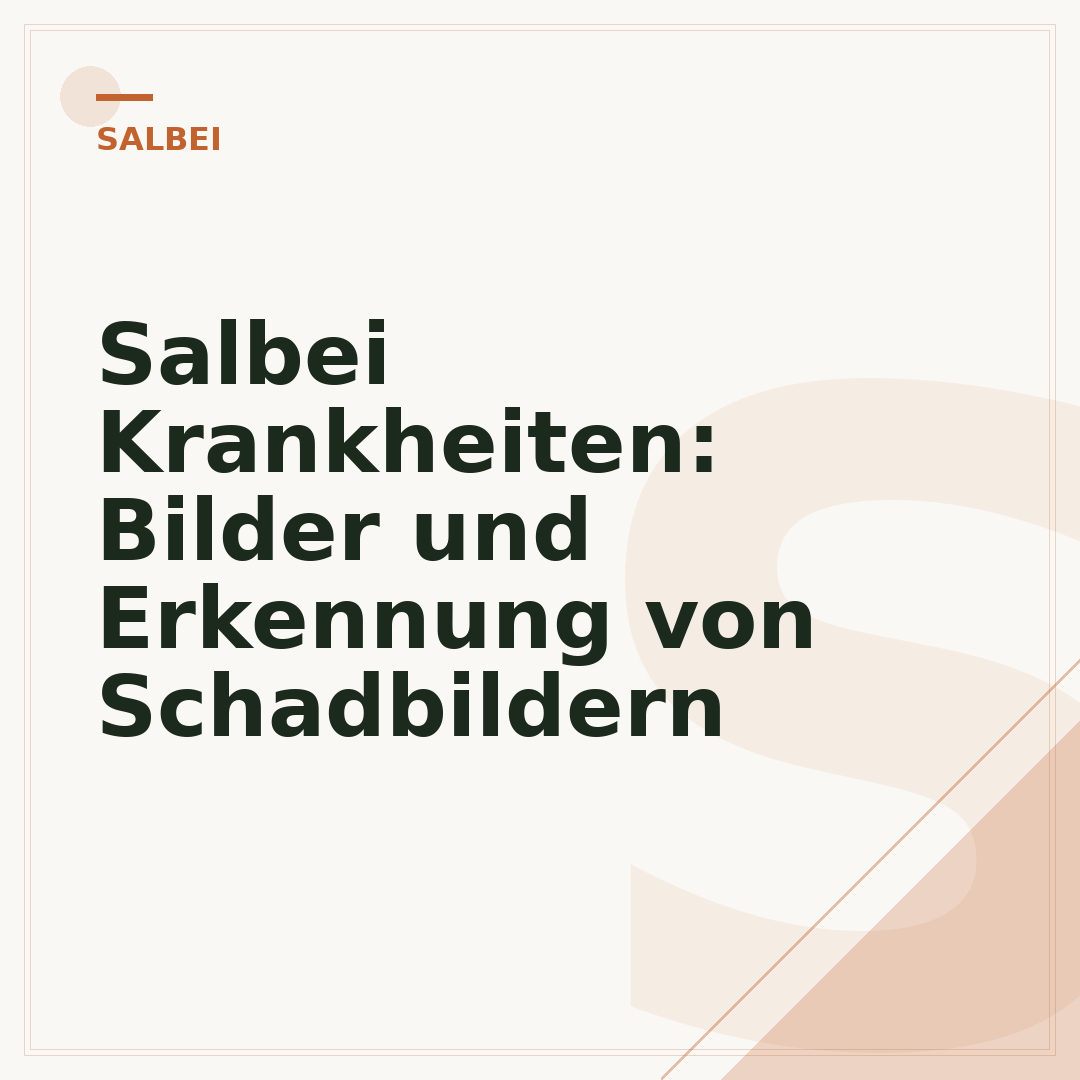 Salbei Krankheiten: Bilder und Erkennung von Schadbildern